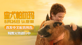 预售开启！《忠犬帕尔玛》首发中文配音版预告