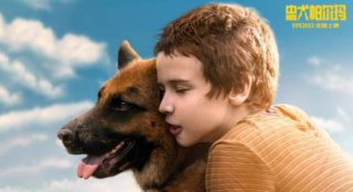 《忠犬帕尔玛》曝终极预告 狗狗机场苦等主人两年