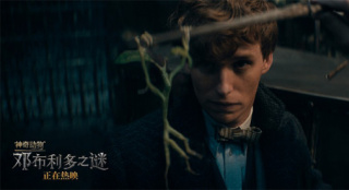 萌兽出击!《神奇动物3》曝片段 塑料搭档联手越狱