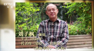 《黑炮事件》主演刘子枫去世 曾获金鸡奖最佳男主